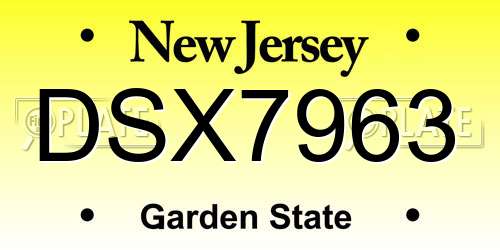 DSX7963 New Jersey License Plate