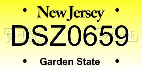 DSZ0659 New Jersey License Plate