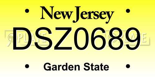 DSZ0689 New Jersey License Plate