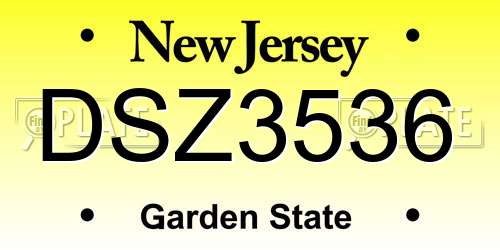 DSZ3536 New Jersey License Plate