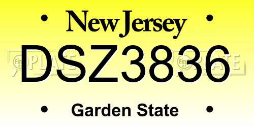 DSZ3836 New Jersey License Plate
