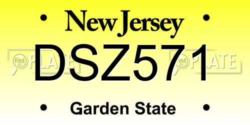 DSZ571 New Jersey License Plate