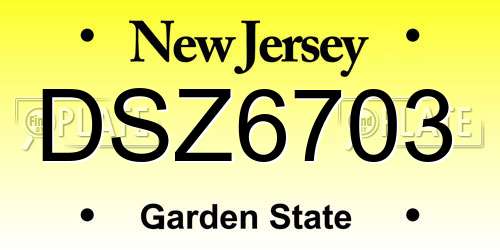 DSZ6703 New Jersey License Plate