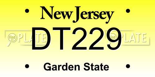 DT229 New Jersey License Plate
