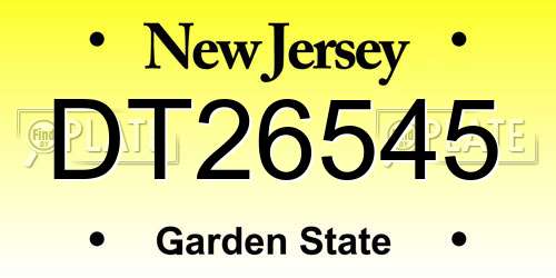 DT26545 New Jersey License Plate