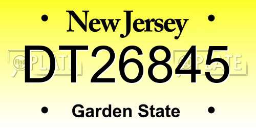 DT26845 New Jersey License Plate