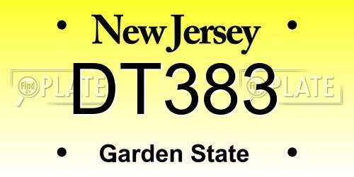DT383 New Jersey License Plate