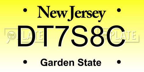 DT7S8C New Jersey License Plate