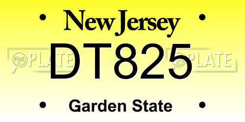 DT825 New Jersey License Plate