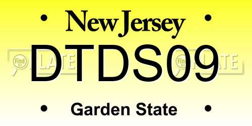DTDS09 New Jersey License Plate
