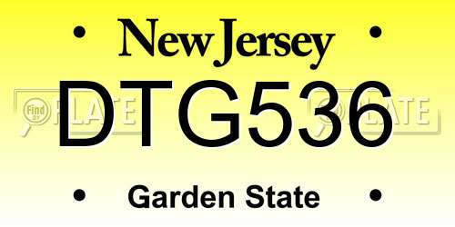 DTG536 New Jersey License Plate