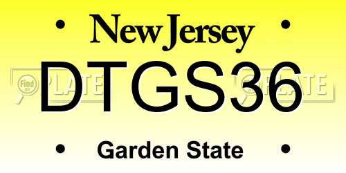 DTGS36 New Jersey License Plate