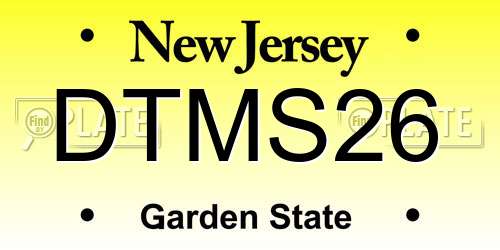 DTMS26 New Jersey License Plate