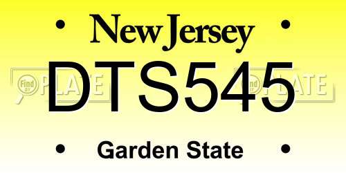 DTS545 New Jersey License Plate