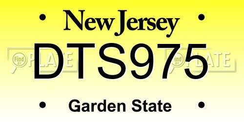 DTS975 New Jersey License Plate