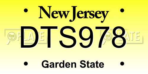 DTS978 New Jersey License Plate