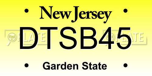 DTSB45 New Jersey License Plate