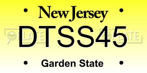 DTSS45 New Jersey License Plate