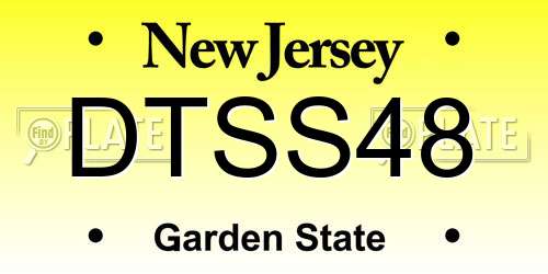 DTSS48 New Jersey License Plate