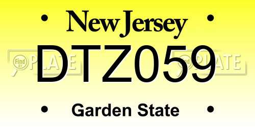 DTZ059 New Jersey License Plate
