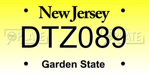 DTZ089 New Jersey License Plate