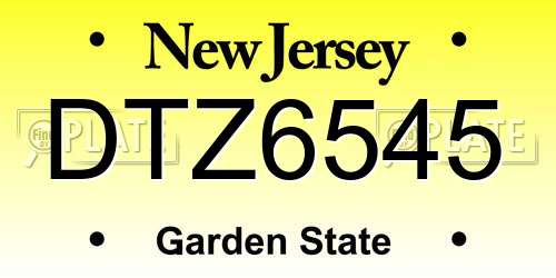 DTZ6545 New Jersey License Plate
