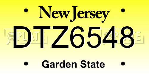 DTZ6548 New Jersey License Plate