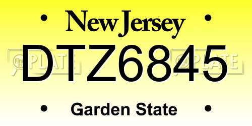 DTZ6845 New Jersey License Plate