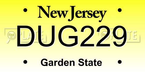 DUG229 New Jersey License Plate