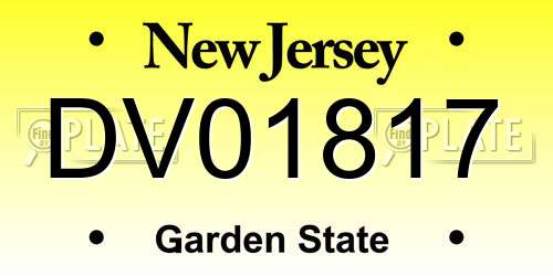 DV01817 New Jersey License Plate
