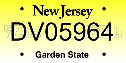 DV05964 New Jersey License Plate