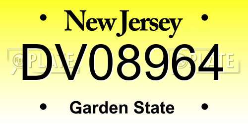 DV08964 New Jersey License Plate