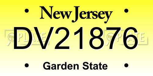 DV21876 New Jersey License Plate