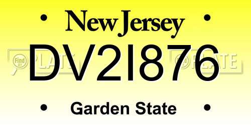 DV2I876 New Jersey License Plate
