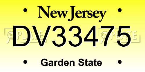 DV33475 New Jersey License Plate