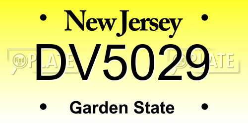 DV5029 New Jersey License Plate