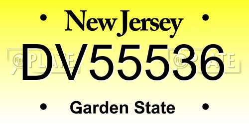 DV55536 New Jersey License Plate