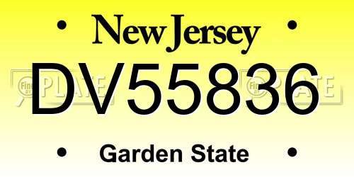 DV55836 New Jersey License Plate