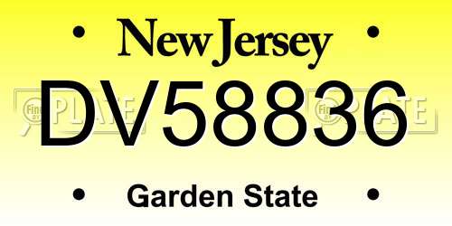 DV58836 New Jersey License Plate
