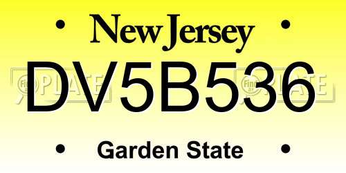 DV5B536 New Jersey License Plate