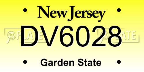 DV6028 New Jersey License Plate