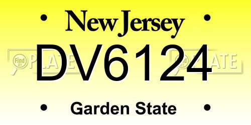 DV6124 New Jersey License Plate