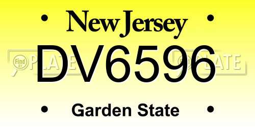 DV6596 New Jersey License Plate