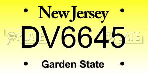 DV6645 New Jersey License Plate