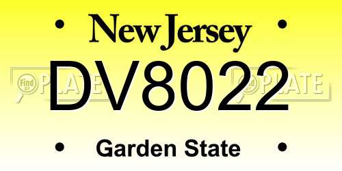 DV8022 New Jersey License Plate