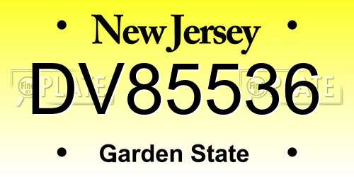 DV85536 New Jersey License Plate