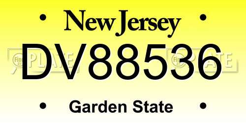 DV88536 New Jersey License Plate