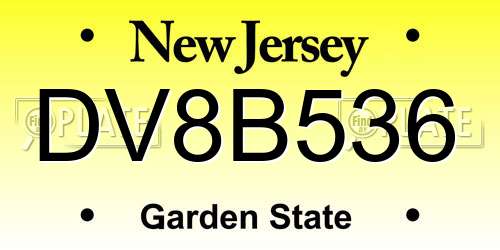 DV8B536 New Jersey License Plate