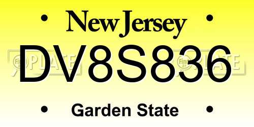 DV8S836 New Jersey License Plate