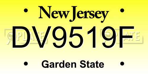 DV9519F New Jersey License Plate